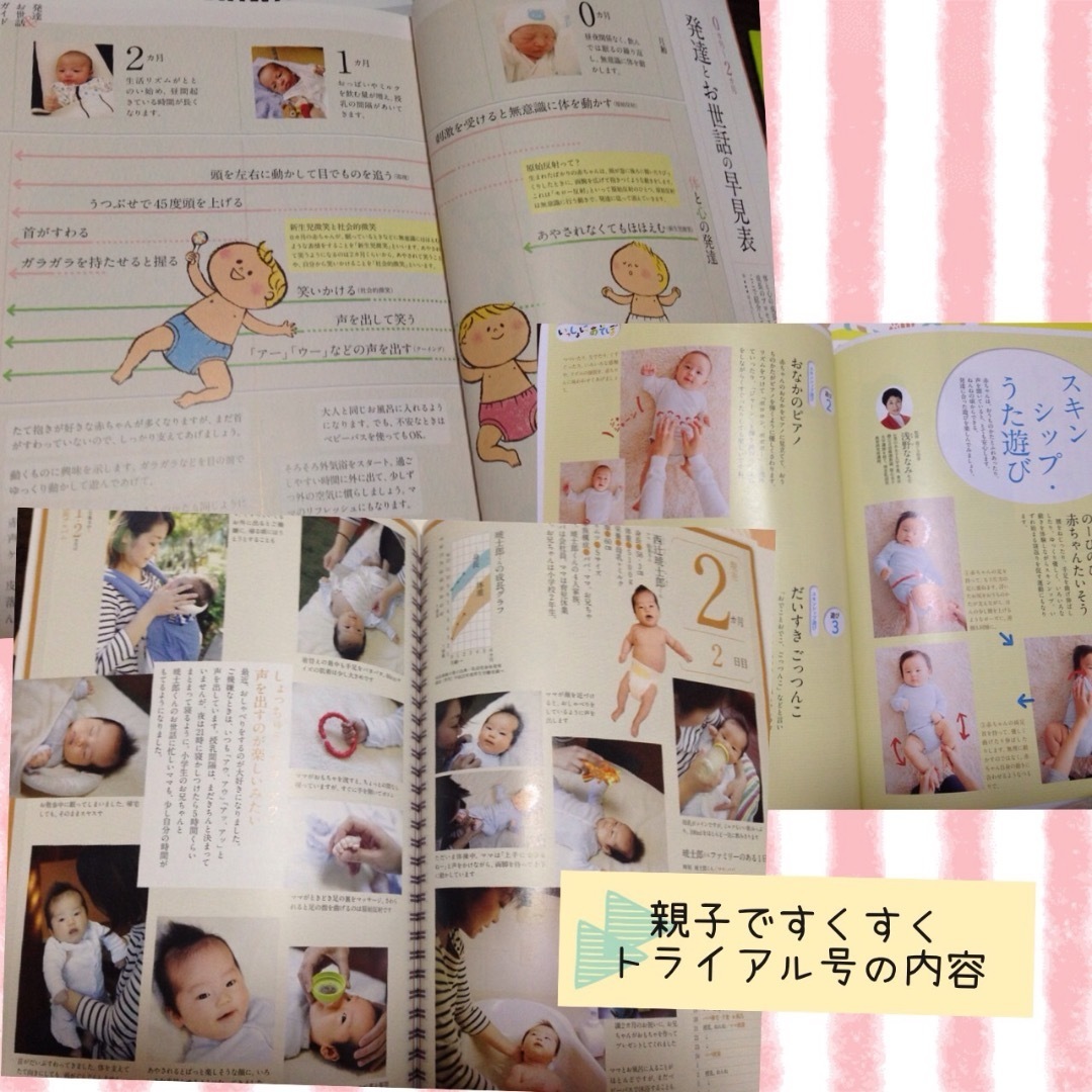 ベネッセから 名前入り絵本とこどもチャレンジ Baby の1 2ヶ月対象冊子が届きました 柚子野菜